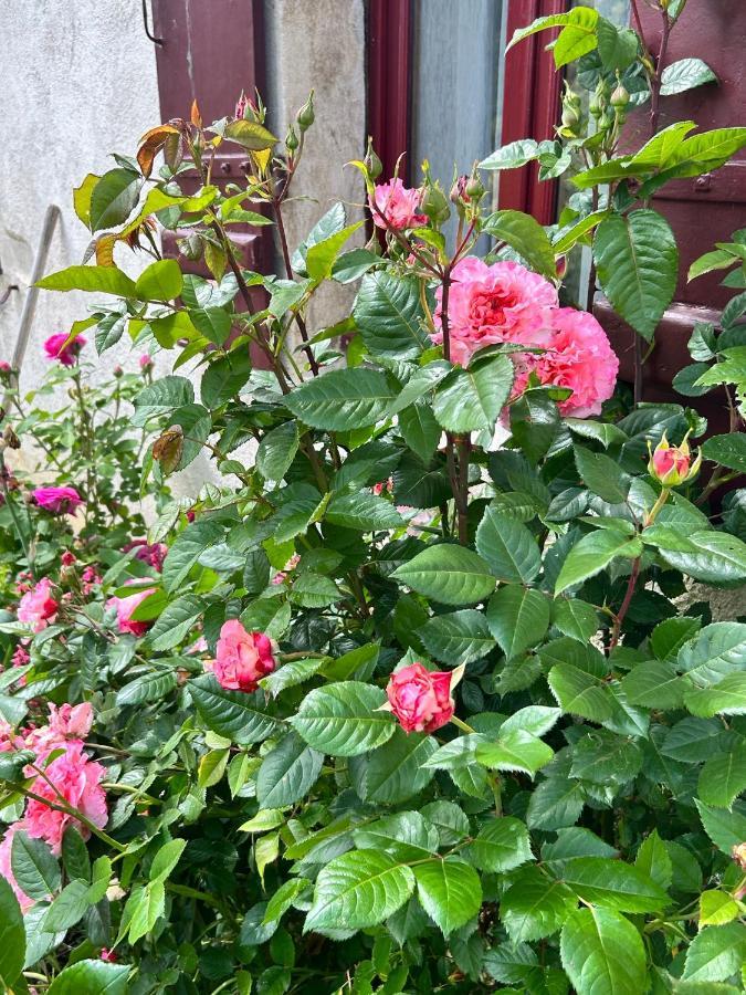 Bed & Breakfast La Loubertine